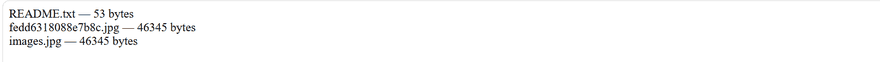 PHP file upload output listing the uploaded files with their sizes