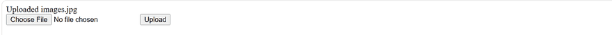 PHP file upload output confirming the file moved into the uploads folder